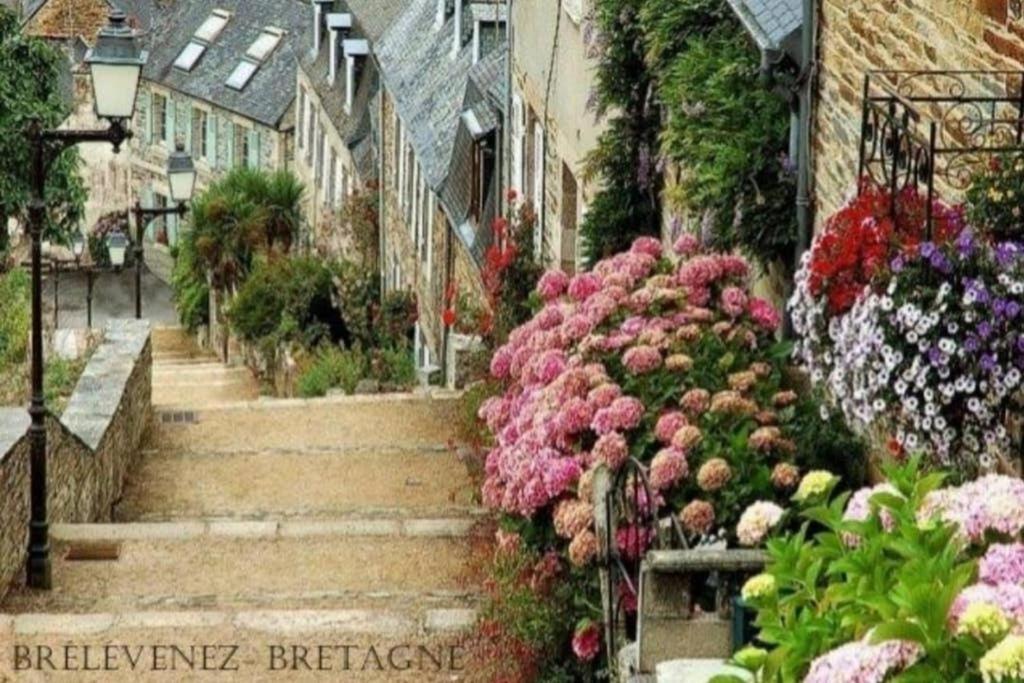 Maison Du Martin Pecheur A Lannion Exteriör bild